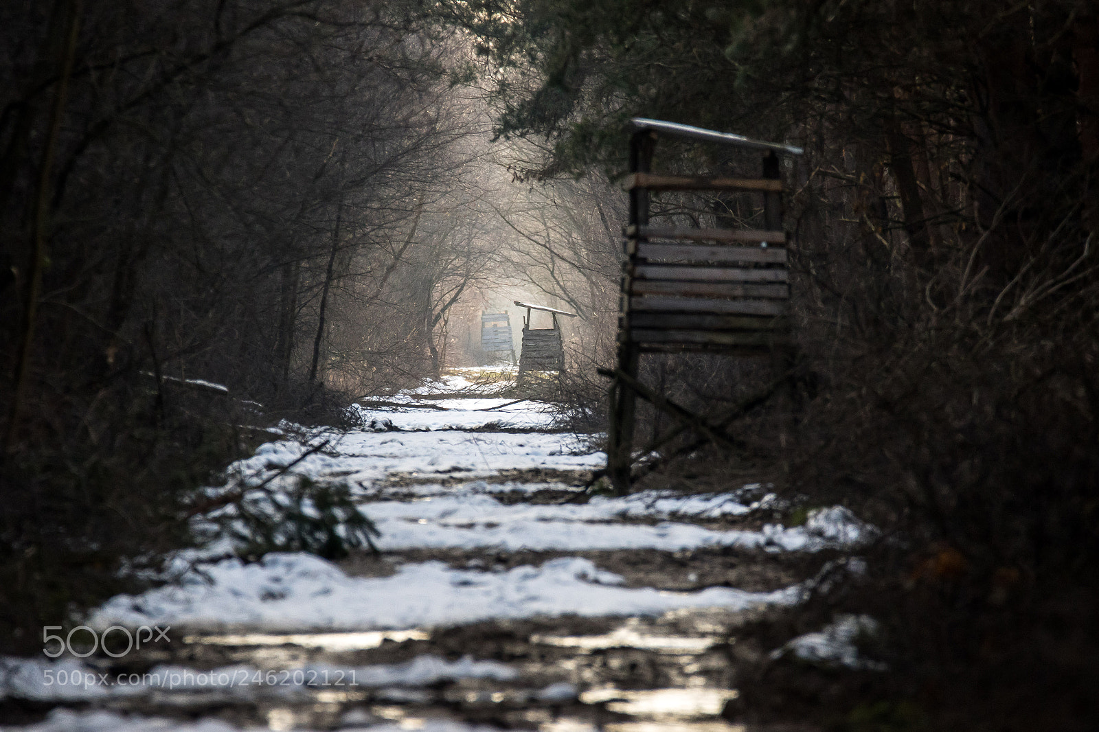 Canon EOS 7D Mark II sample photo. Untitled photography