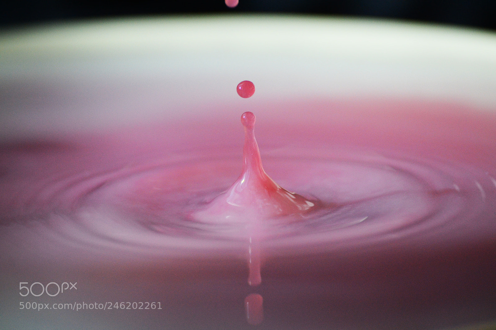 Nikon D3100 sample photo. Wine drops photography