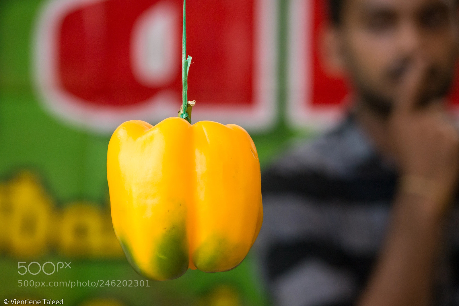 Panasonic Lumix DMC-G5 sample photo. Shhhhh....a pepper photography