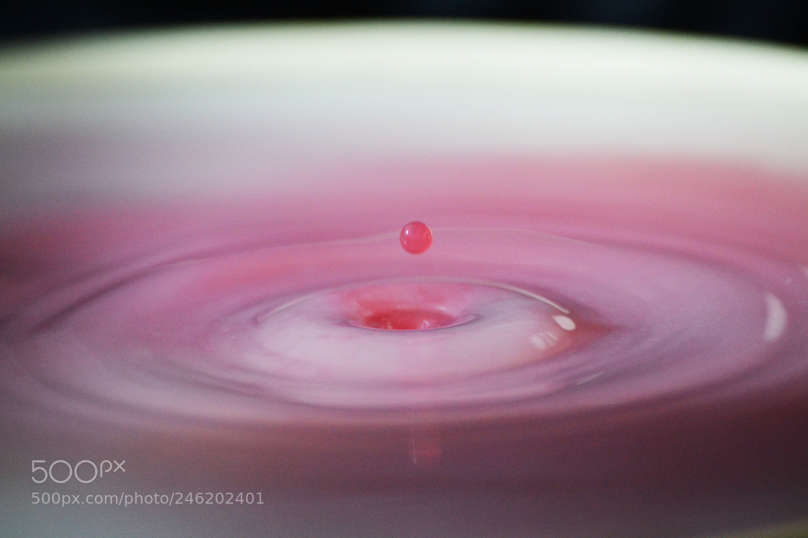 Nikon D3100 sample photo. Wine drops photography