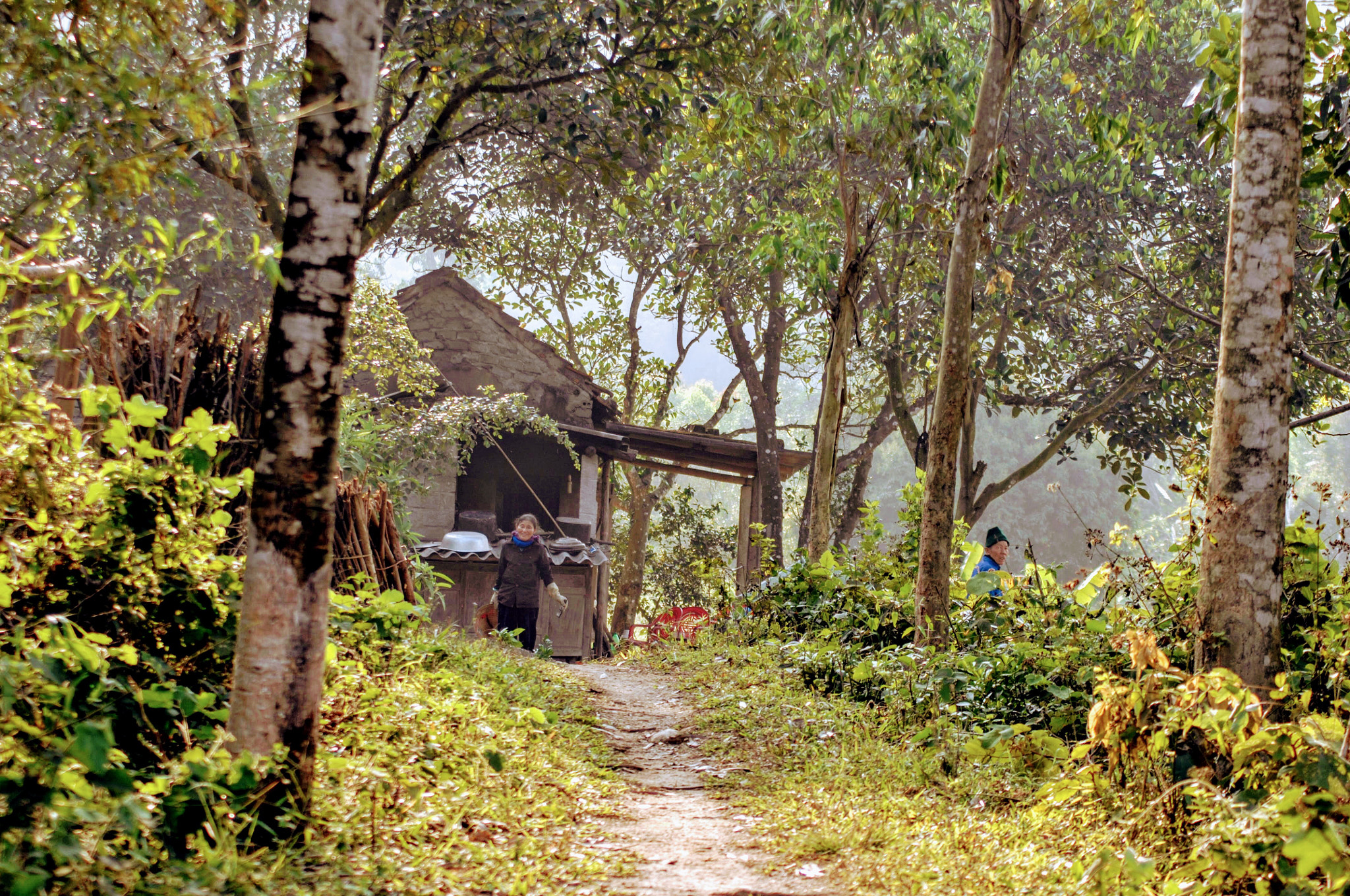 Nikon D2Xs sample photo. Vietnam photography