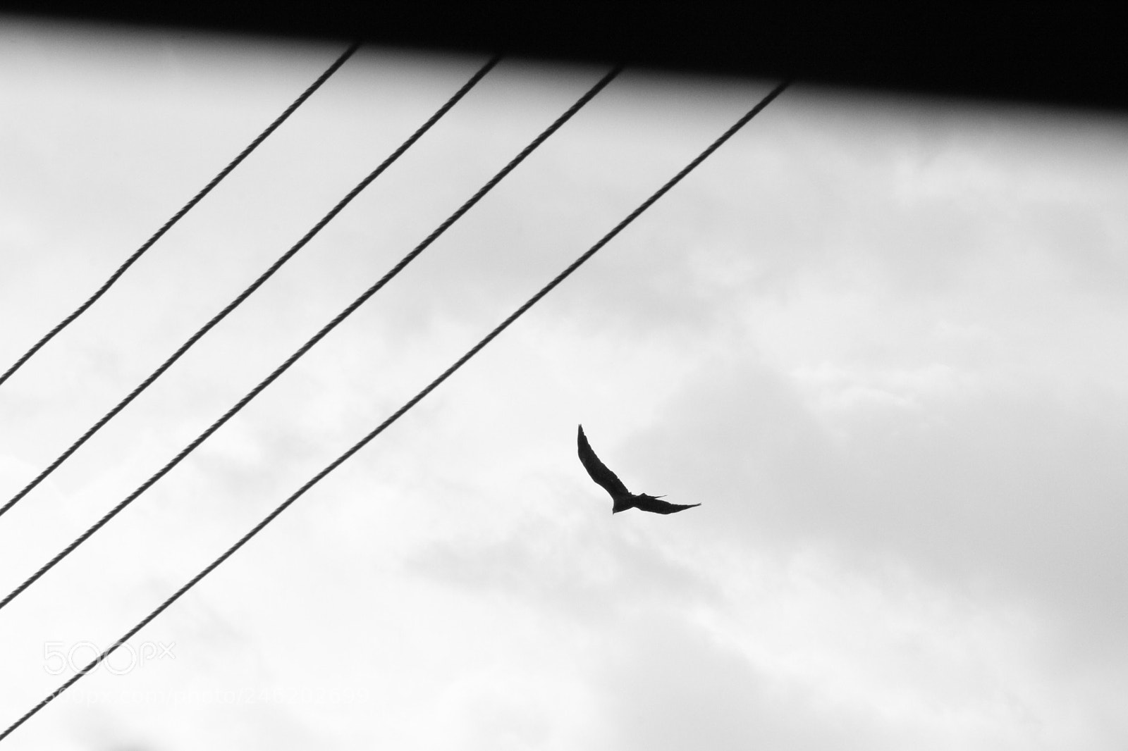 Canon EF-S 55-250mm F4-5.6 IS II sample photo. Lookin at sky like photography