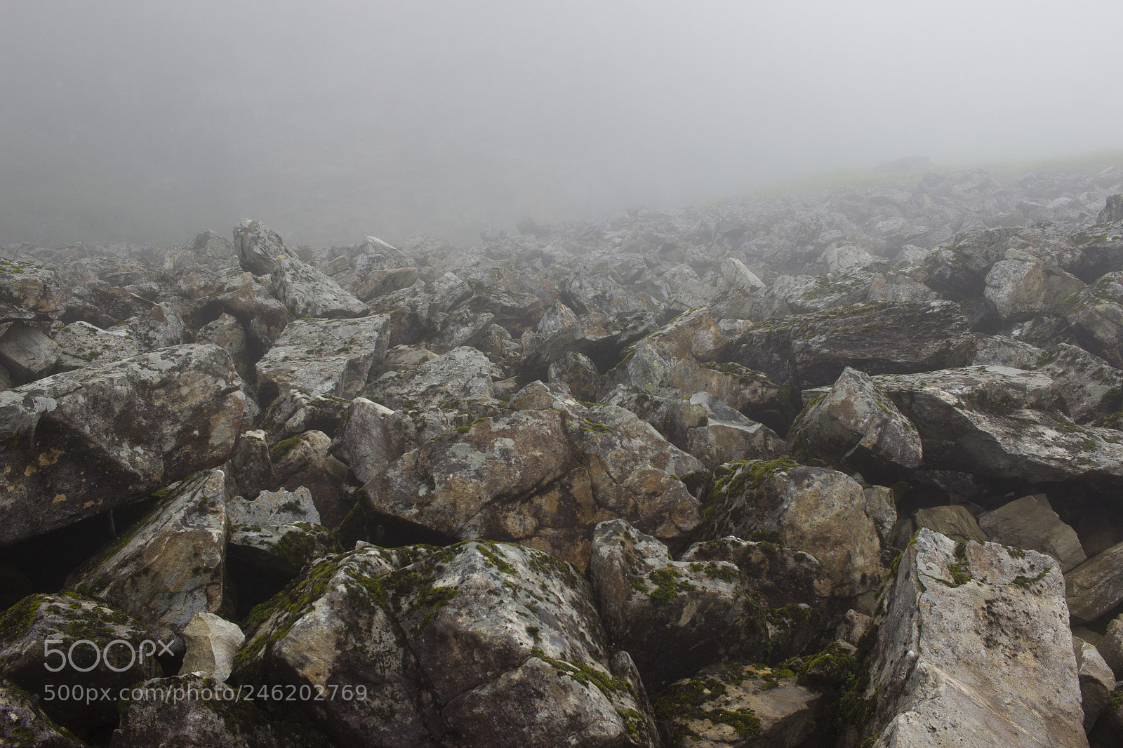 Canon EOS 600D (Rebel EOS T3i / EOS Kiss X5) sample photo. Rocky terrain photography