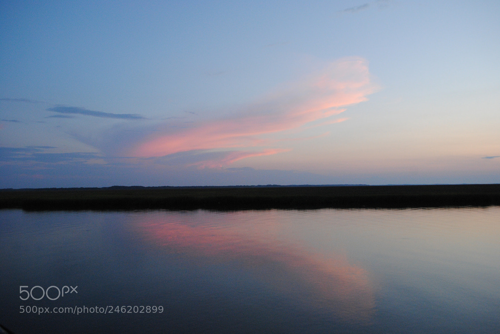 Nikon D3000 sample photo. Cotton candy cloud photography