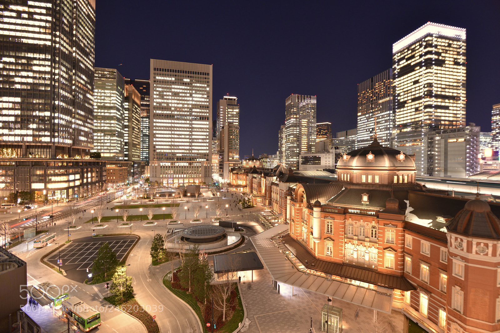 Nikon D800 sample photo. Tokyo station. photography