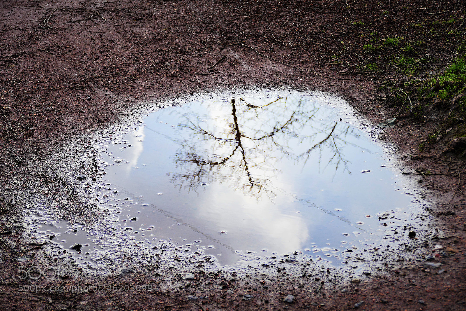 Panasonic Lumix DMC-FZ1000 sample photo. Water puddle photography