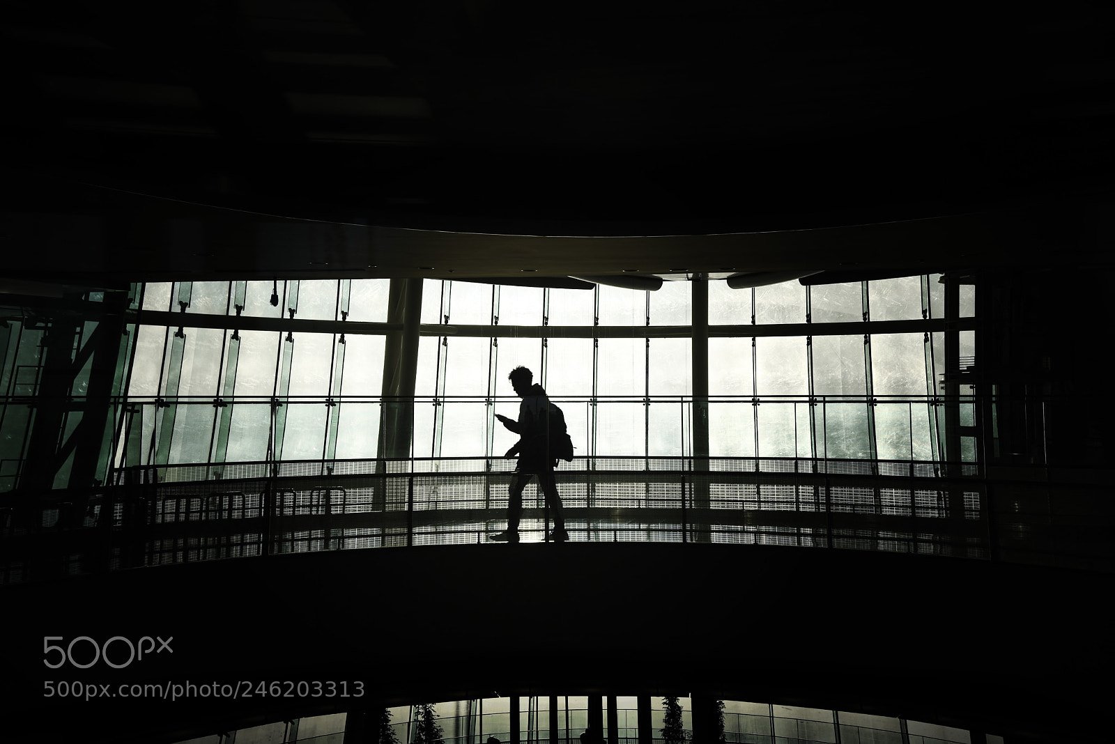 Nikon AF-S Nikkor 24-120mm F4G ED VR sample photo. Silhouette photography
