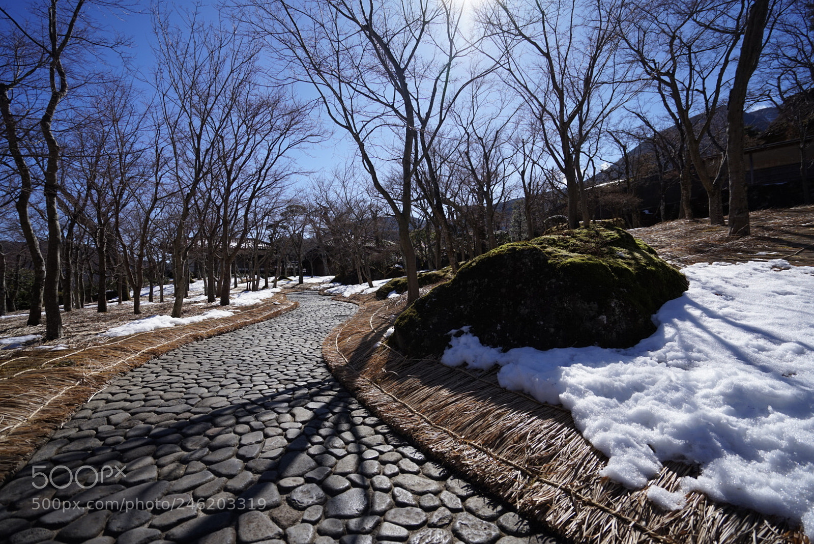 Sony a7 sample photo. 箱根神仙郷 photography