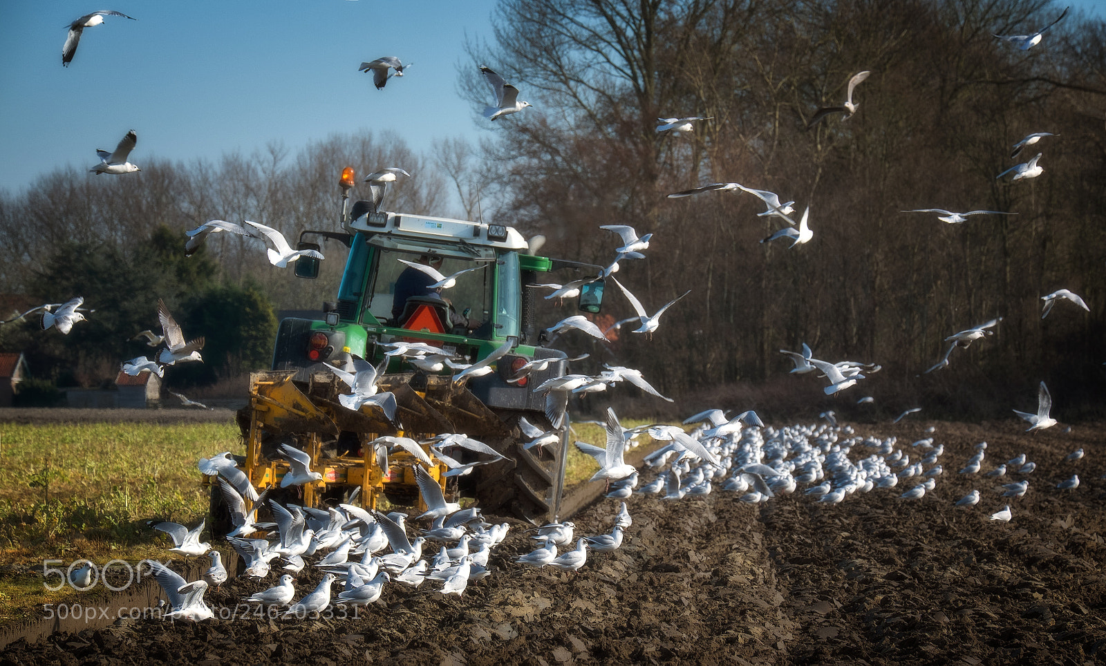 Fujifilm X-T1 sample photo. The farmer and the photography