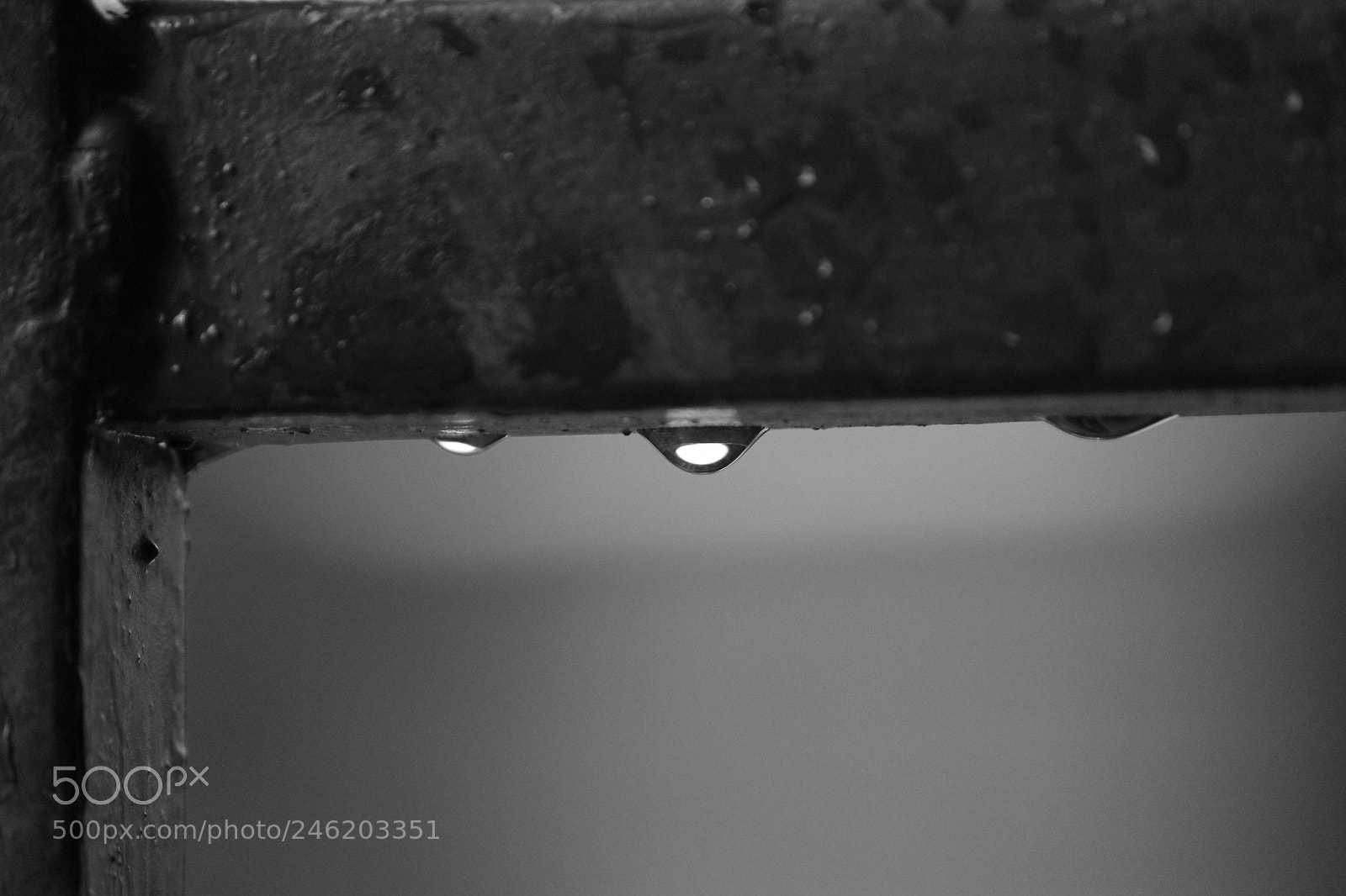 Canon EF-S 55-250mm F4-5.6 IS II sample photo. It rained last night! photography