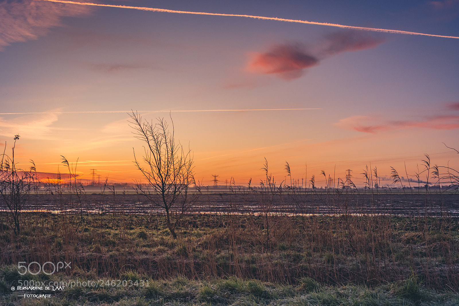 Nikon D7100 sample photo. The countryside in february photography