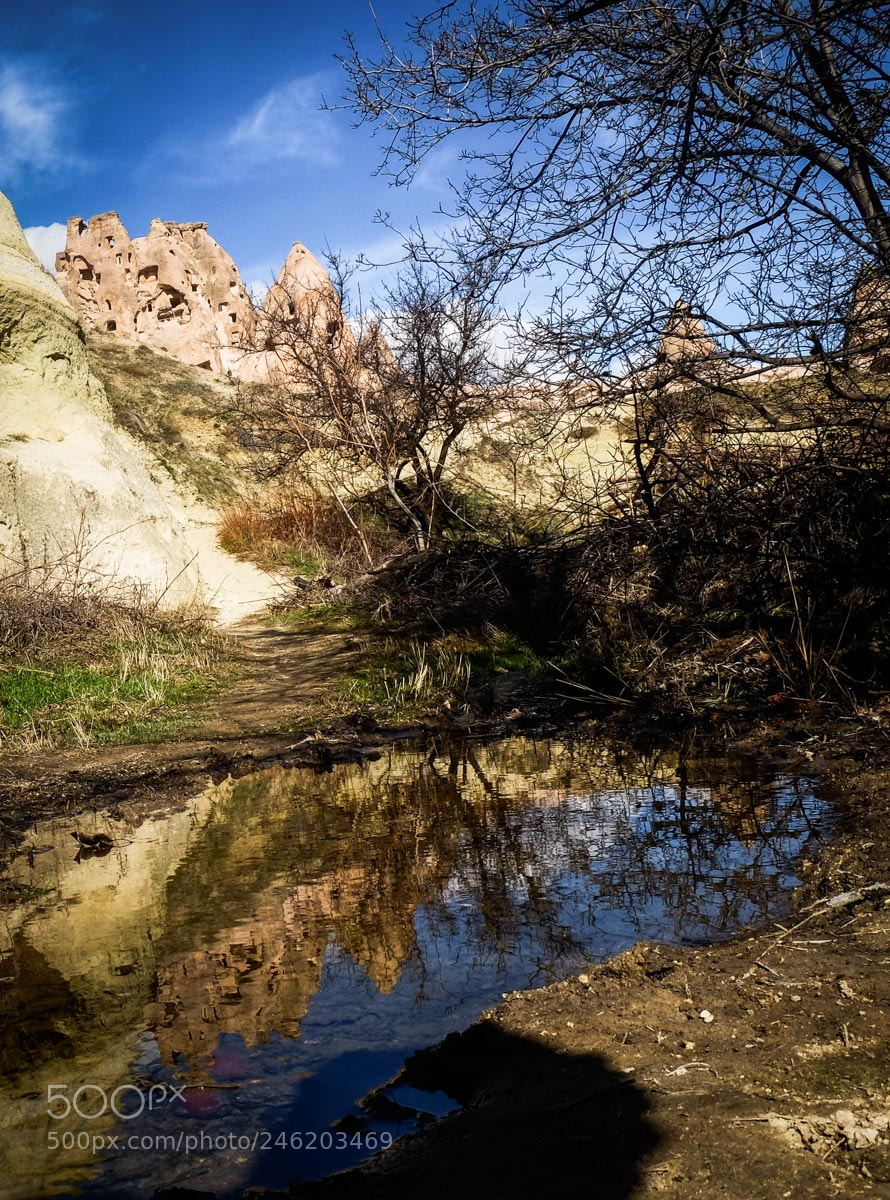 Fujifilm X-T1 sample photo. Bare reflections photography