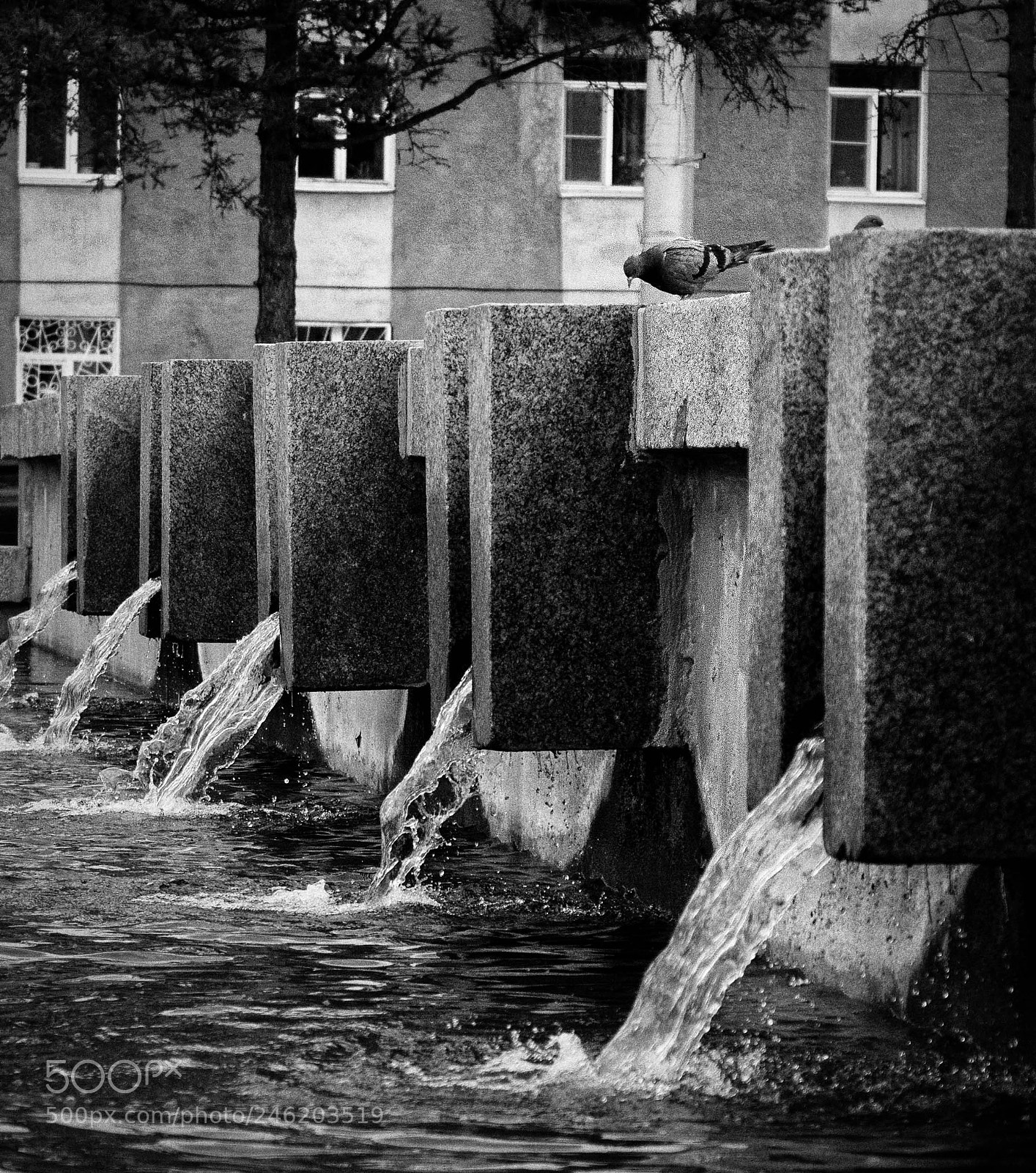 Olympus OM-D E-M5 II sample photo. At the fountain / У фонтана photography