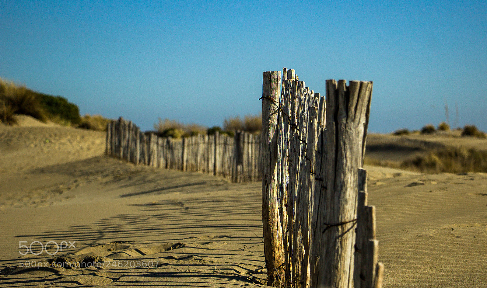 Canon EOS 1200D (EOS Rebel T5 / EOS Kiss X70 / EOS Hi) sample photo. Wood fence in sand photography