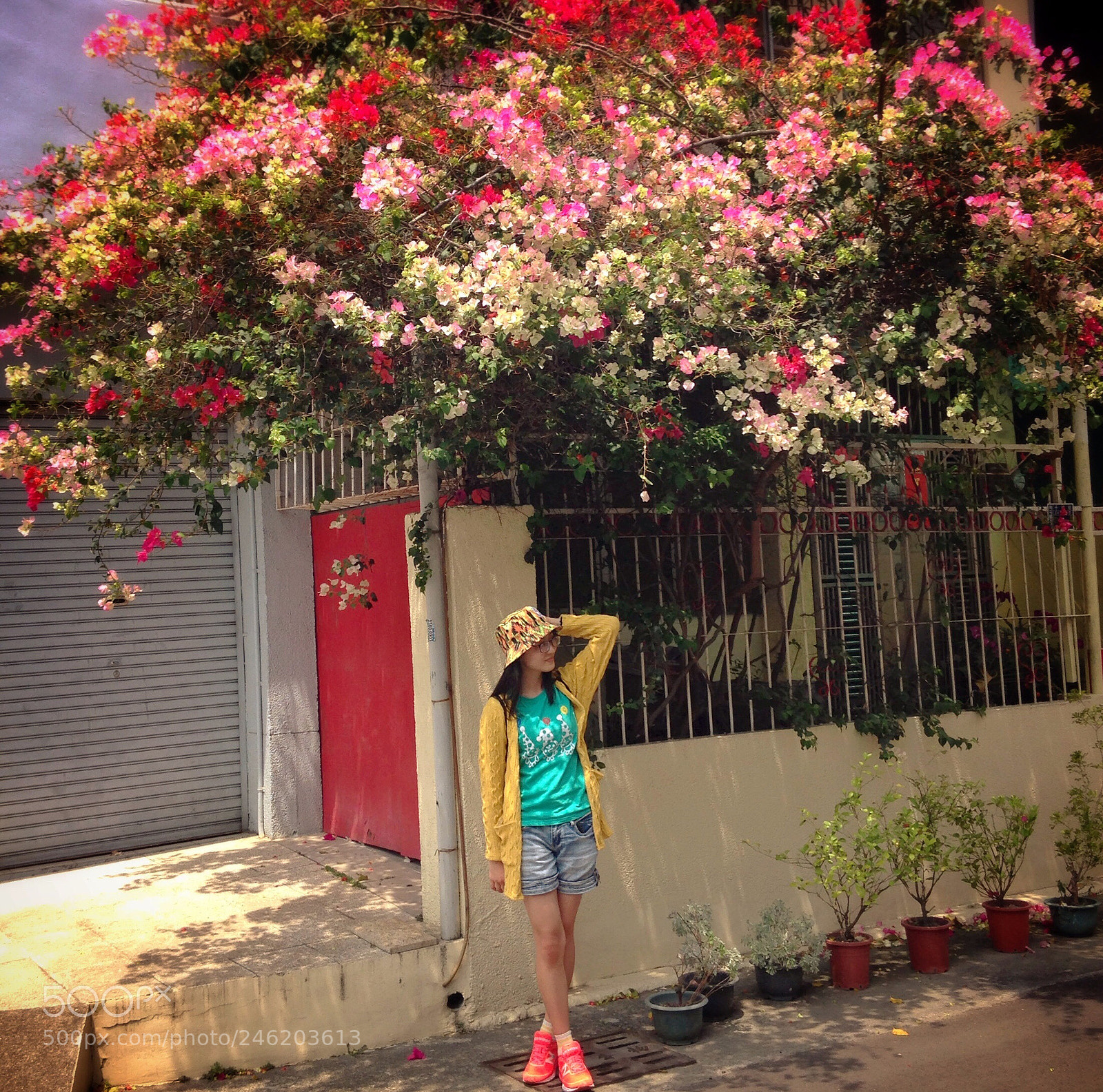 Apple iPhone 5 sample photo. Untitled photography