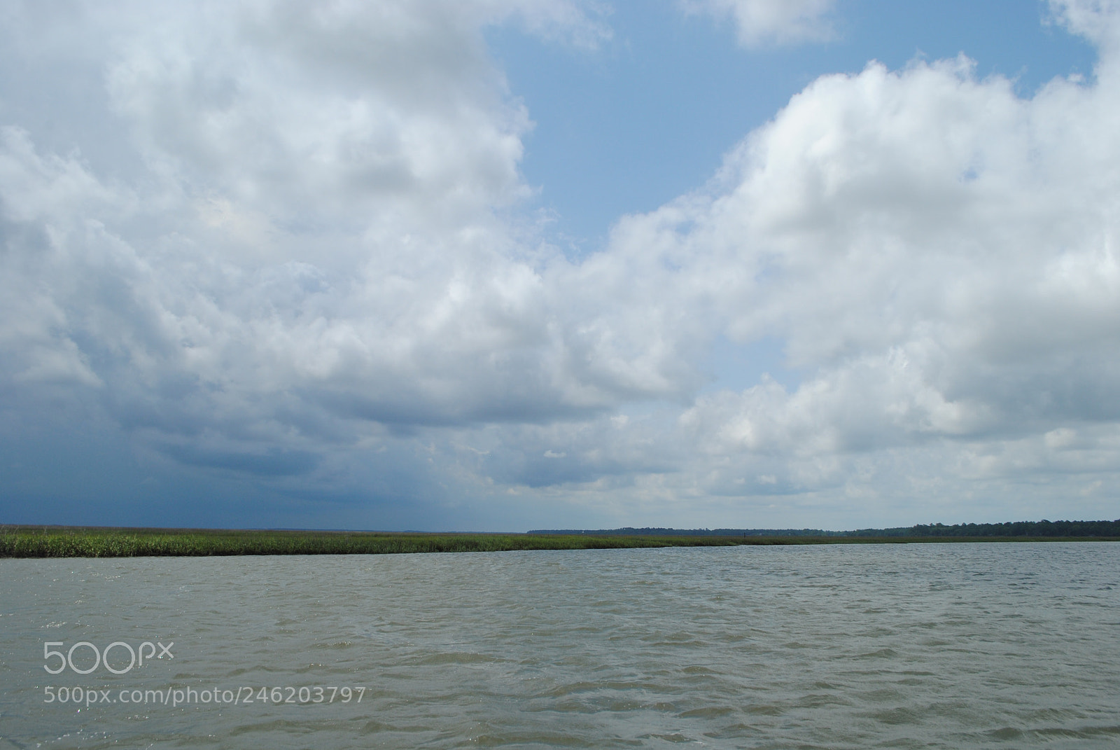 Nikon D3000 sample photo. Lowcountry view photography