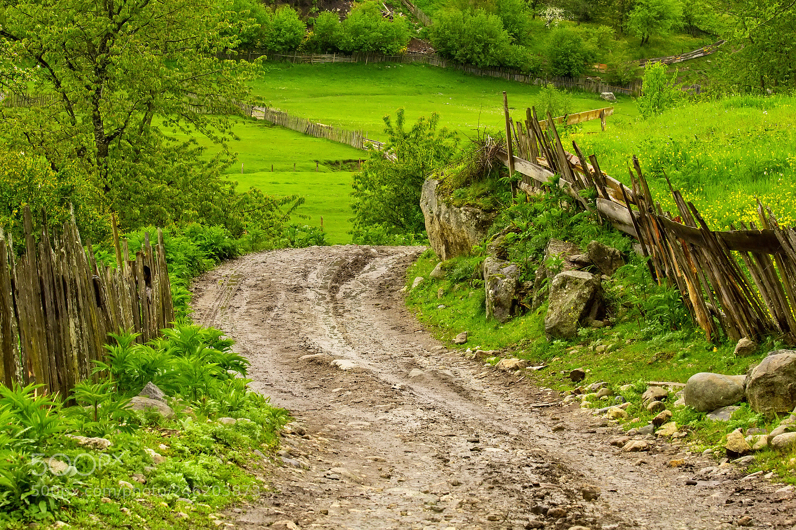 Canon EOS 60D sample photo. Road of stone in photography