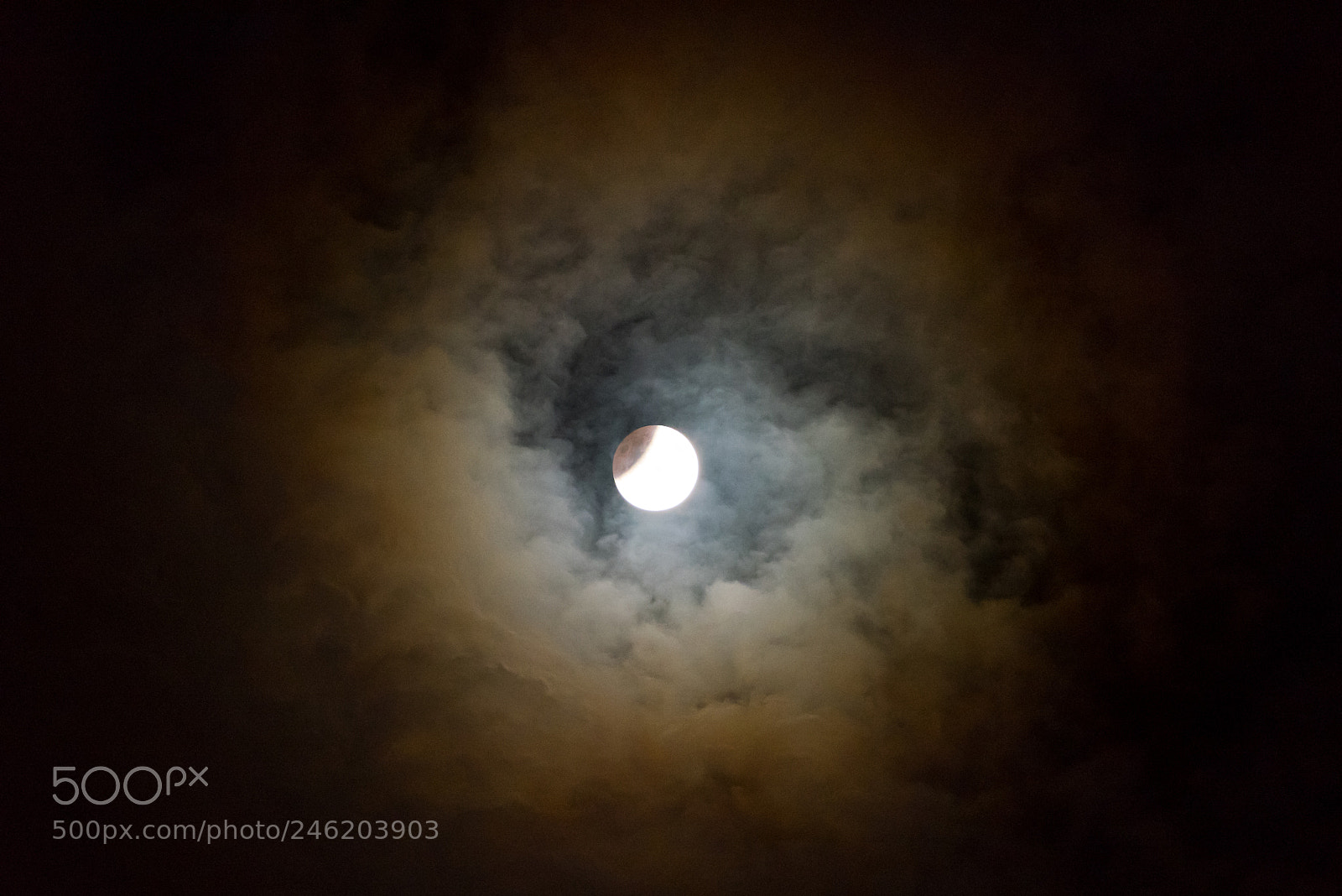 Nikon D810 sample photo. Super blue blood moon photography