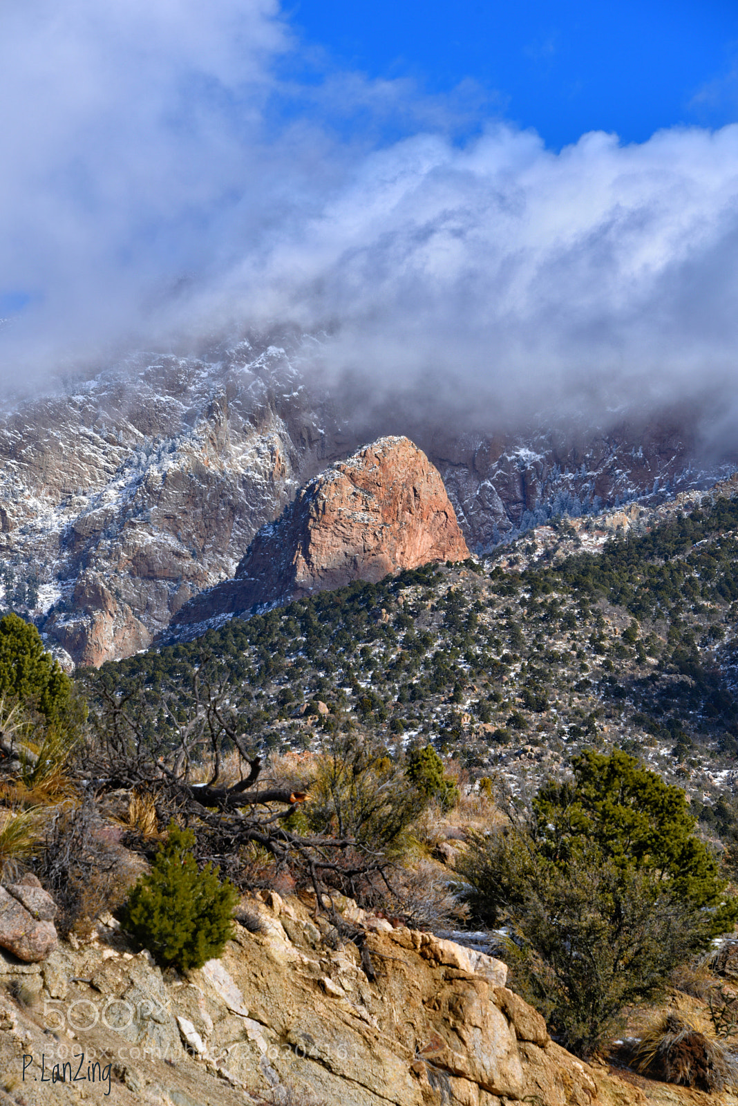 Nikon D810 sample photo. New snow on sandia photography
