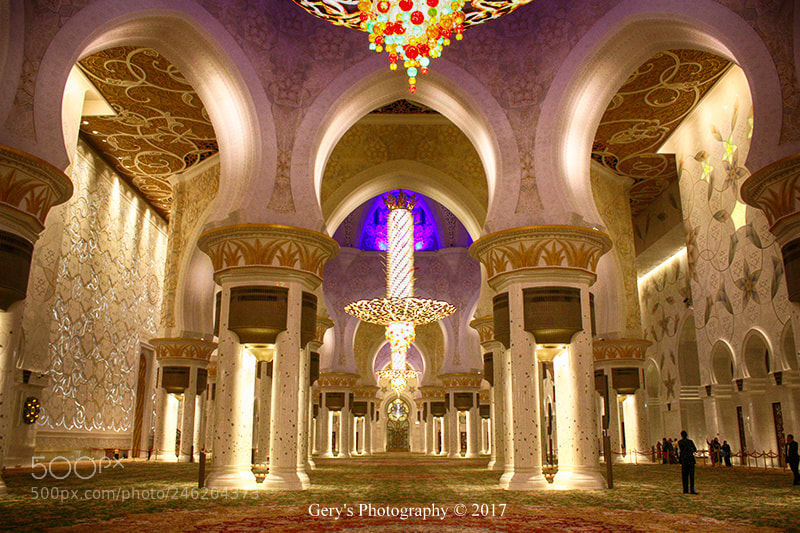 Canon EOS 450D (EOS Rebel XSi / EOS Kiss X2) sample photo. Sheikh zayed mosque photography