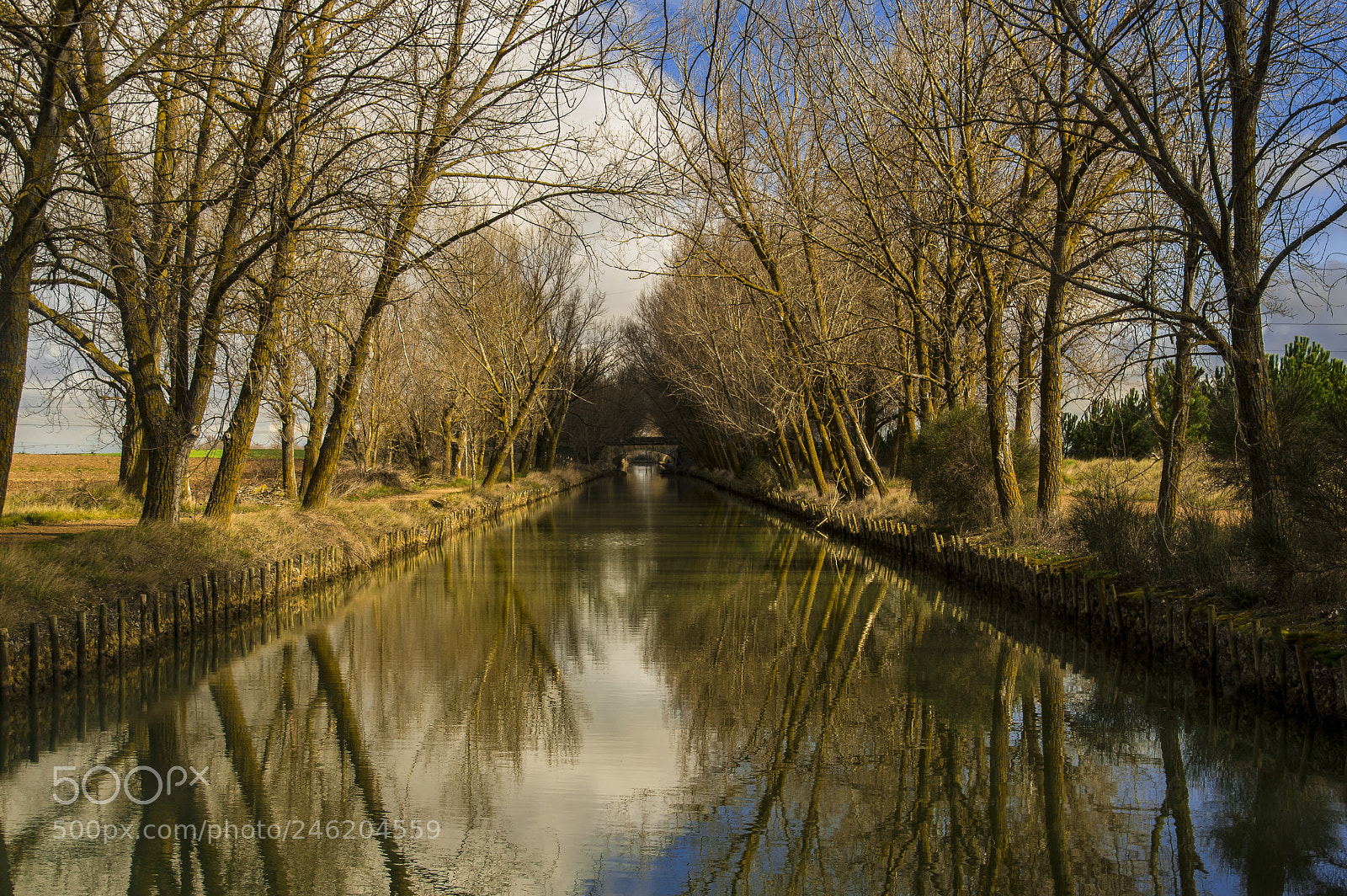 Pentax K-3 sample photo. Canal de castilla -medina photography