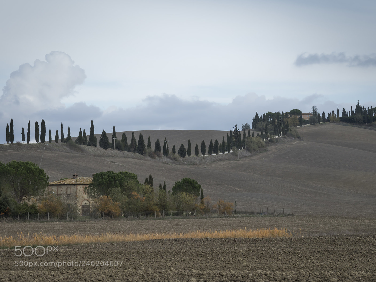 Olympus OM-D E-M1 Mark II sample photo. Toscany photography