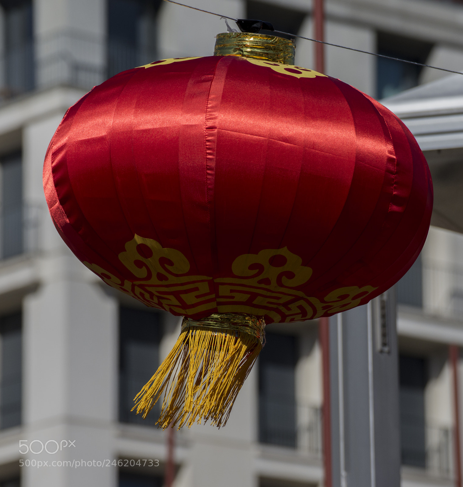 Nikon D610 sample photo. Chinese new year photography