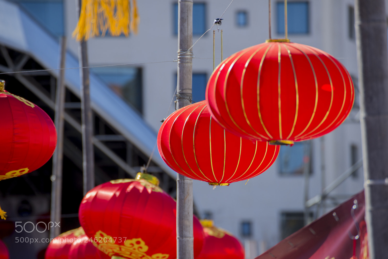 Nikon D610 sample photo. Chinese new year photography
