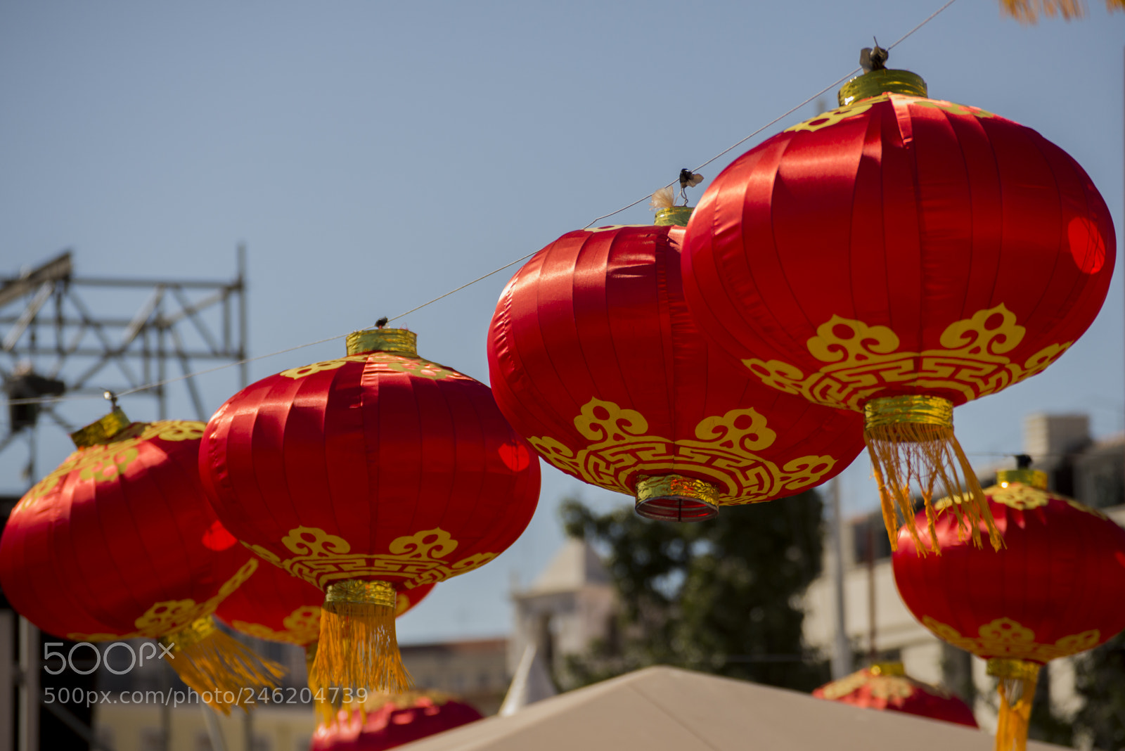 Nikon D610 sample photo. Chinese new year photography