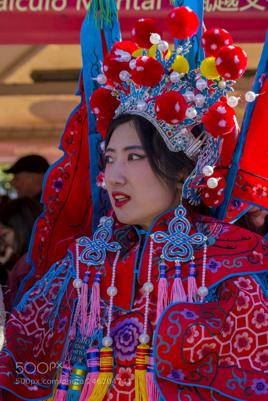 Nikon D610 sample photo. Chinese new year photography