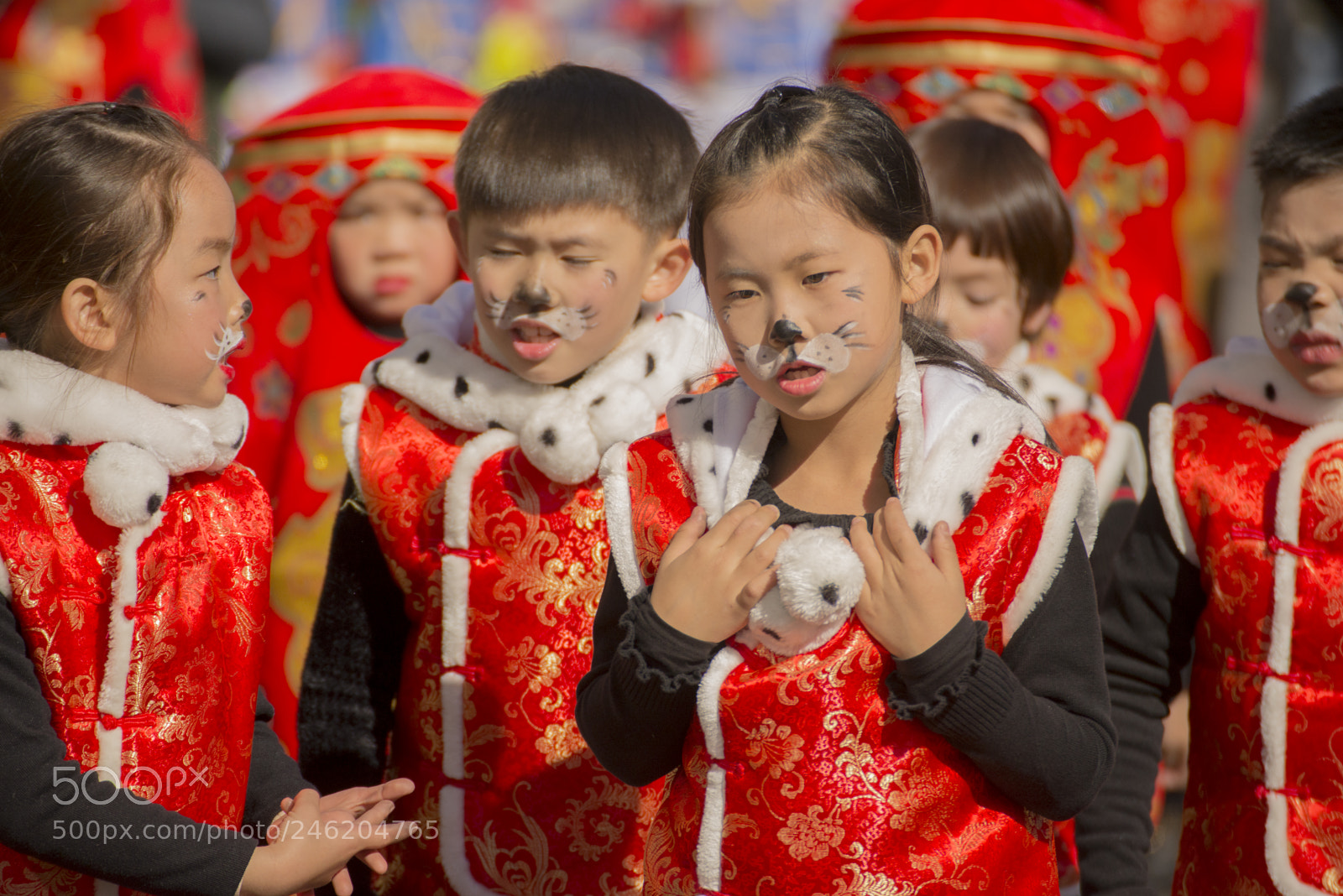 Nikon D610 sample photo. Chinese new year photography