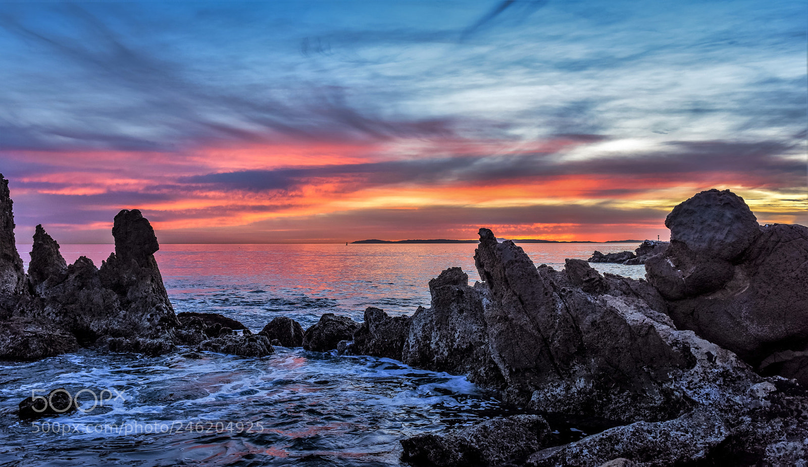 Nikon D810 sample photo. Purple haze! photography