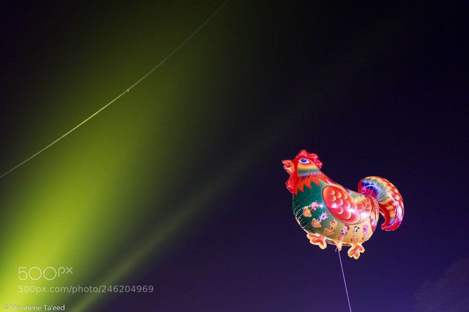 Panasonic Lumix DMC-G5 sample photo. Chicken rave photography