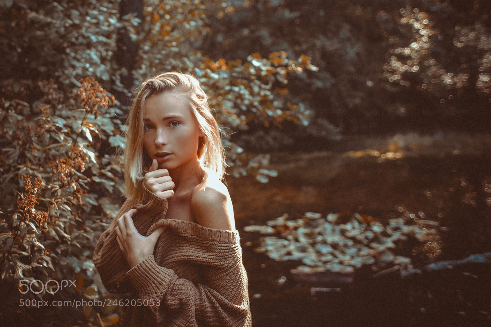 Sony a7R II sample photo. Jill photography
