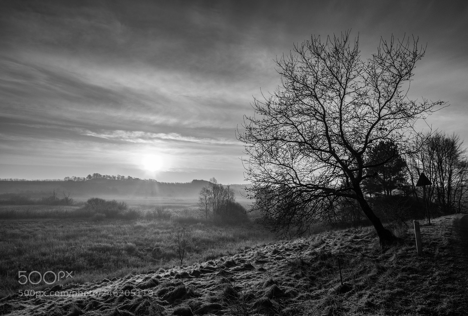 Fujifilm X-T20 sample photo. The mist in the photography