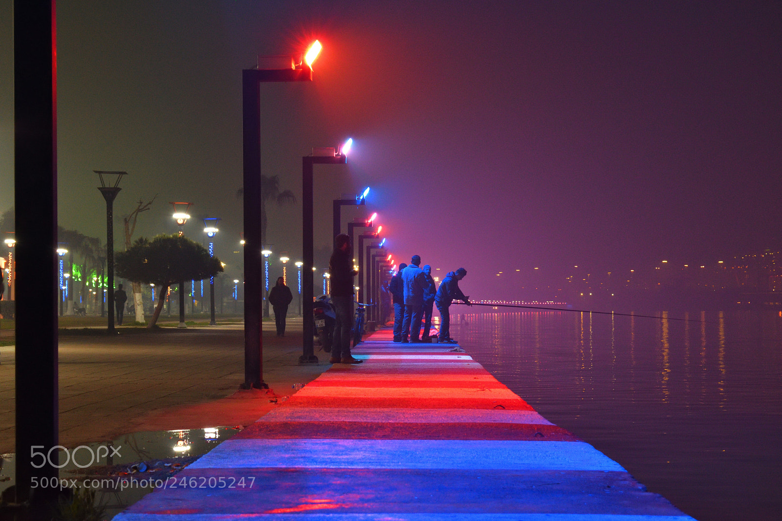 Nikon D5600 sample photo. Blue and red night photography