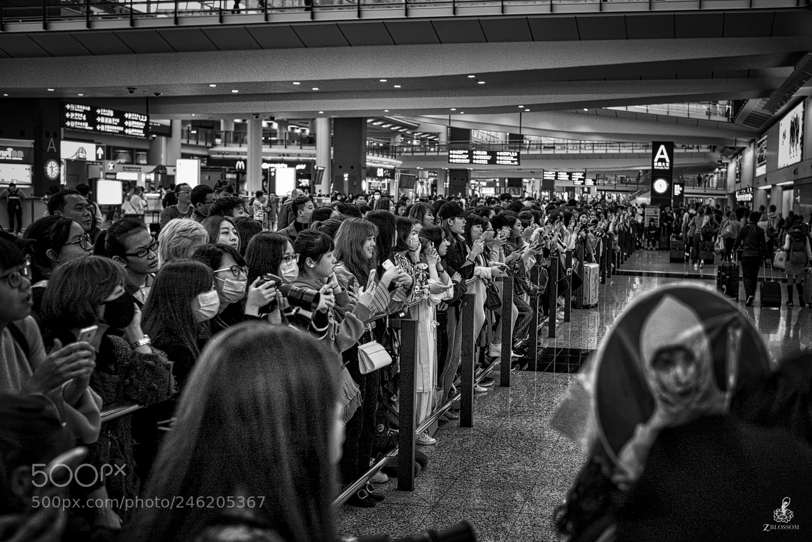 Leica M (Typ 240) sample photo. Pe shatin airport crowd photography