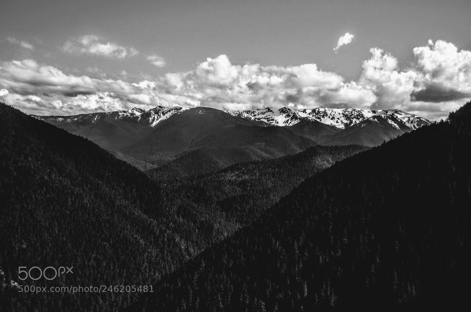 Nikon D5100 sample photo. Hurricane ridge photography