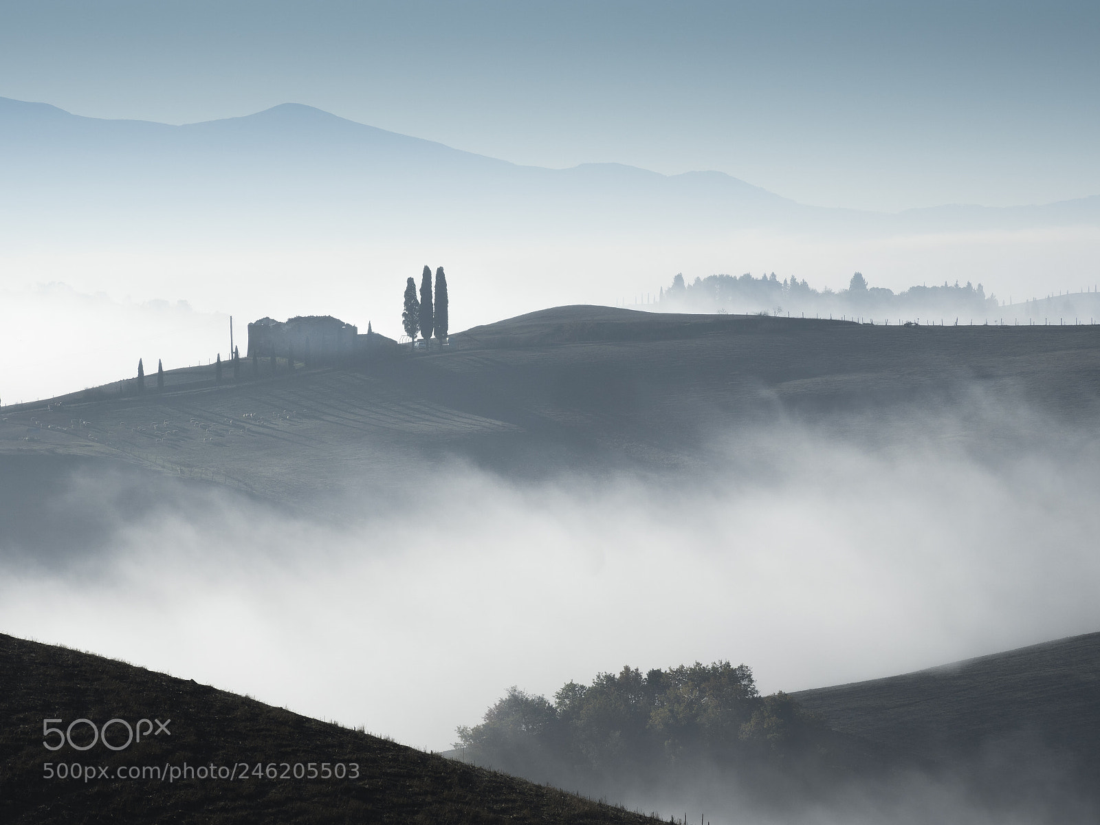 Olympus OM-D E-M1 Mark II sample photo. Morning  fog photography