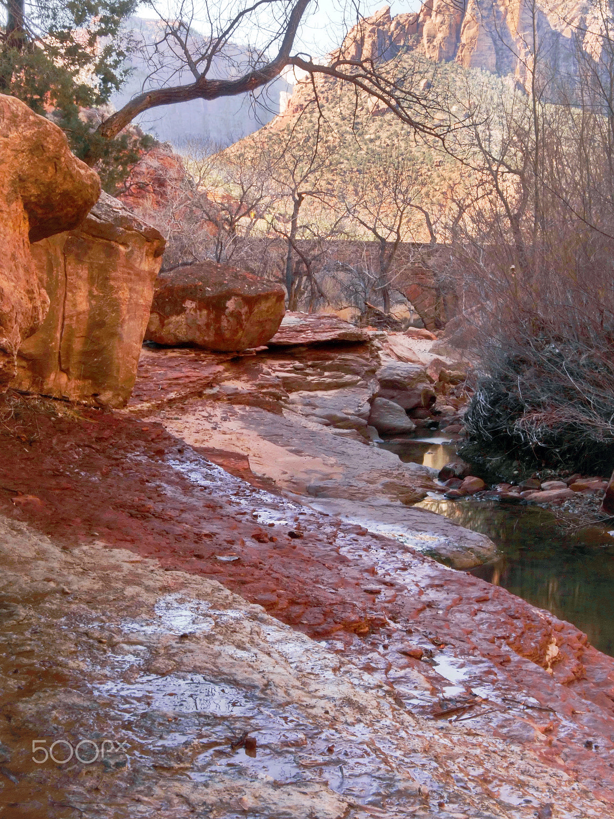 Panasonic Lumix DC-GH5 sample photo. Zion np stream photography
