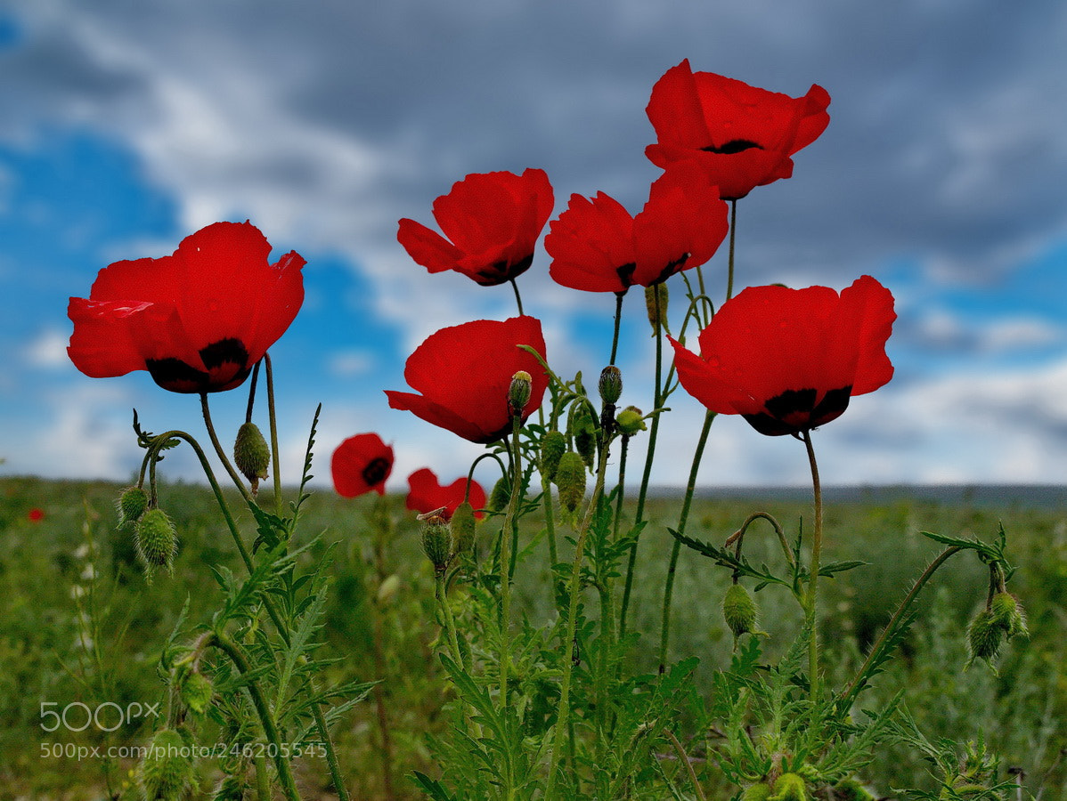 Nikon D3100 sample photo. Казахстан photography