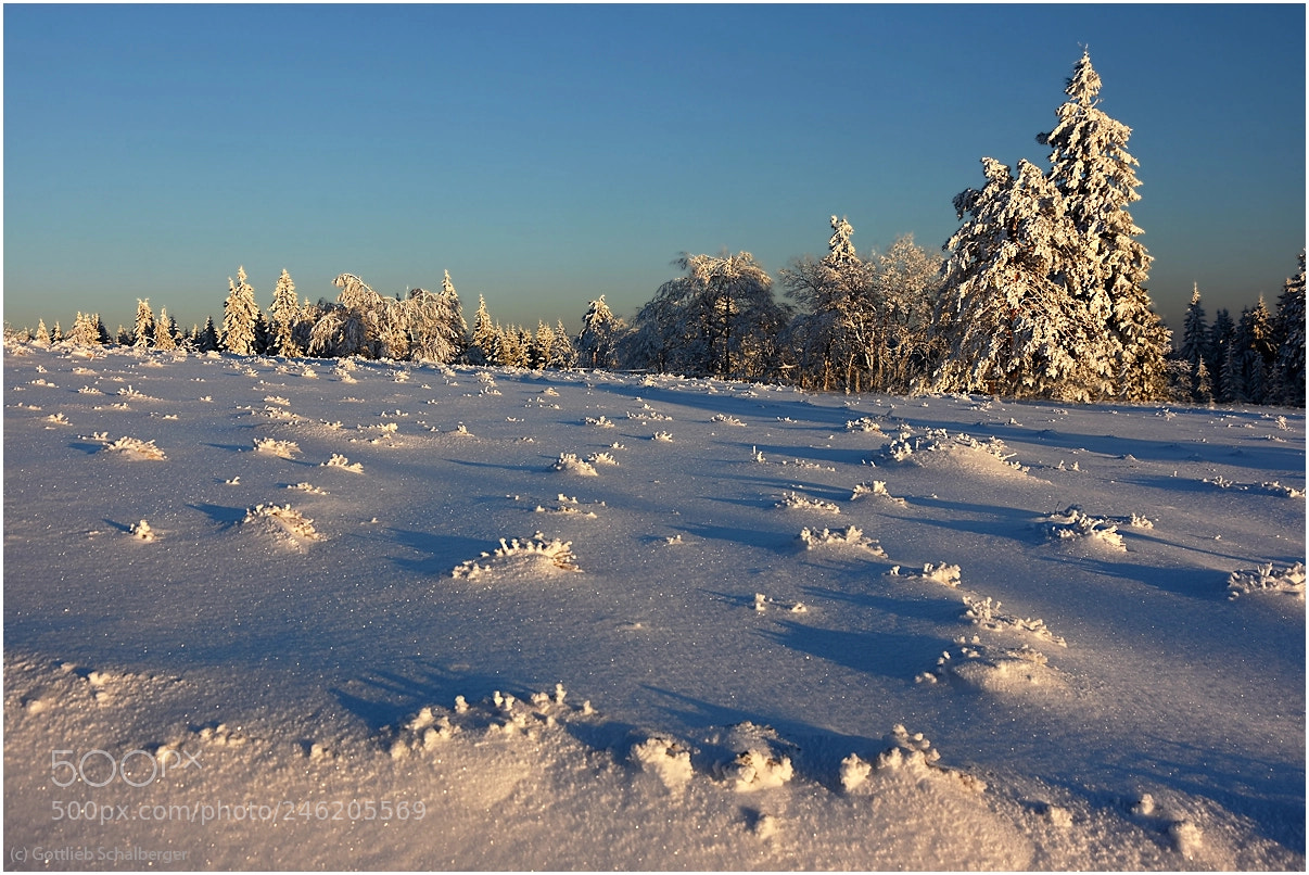 Nikon D7200 sample photo. Icy sunshine photography