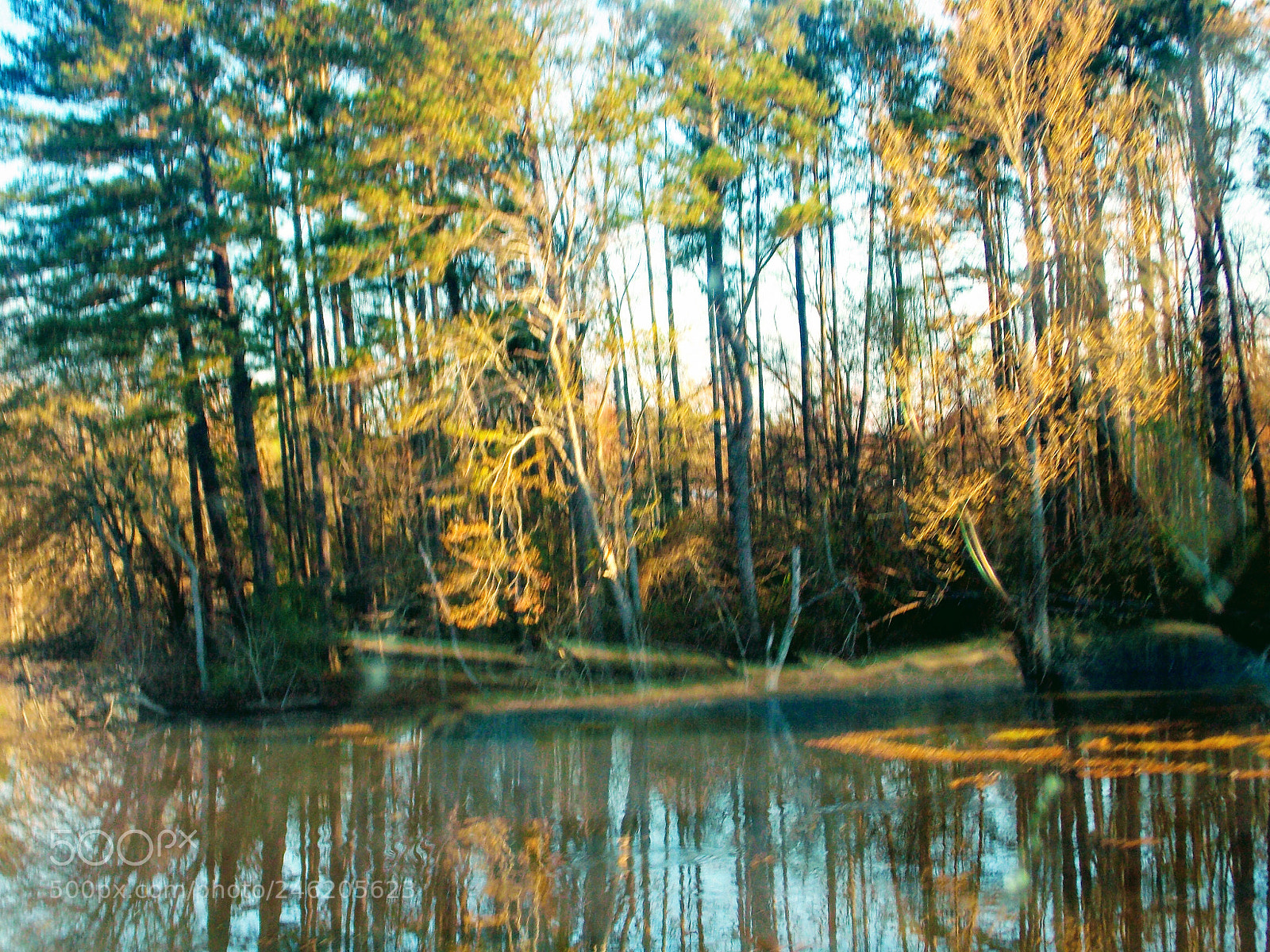 Nikon Coolpix L810 sample photo. Water-trees reflections photography