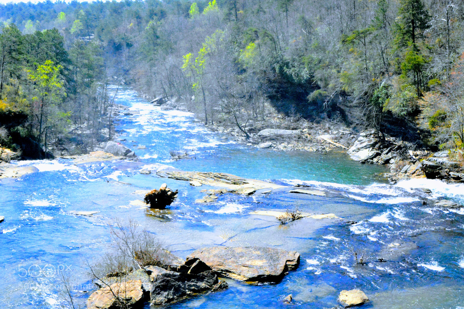 Nikon D7100 sample photo. River overlooking in tennessee photography