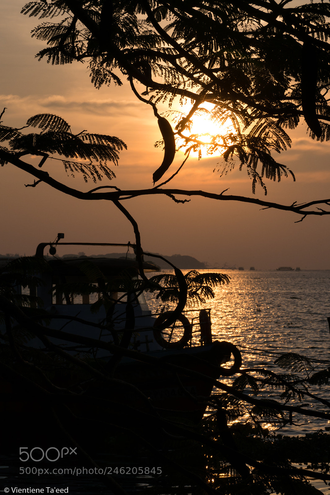 Panasonic Lumix DMC-G5 sample photo. The promenade: seedpod silhouette photography