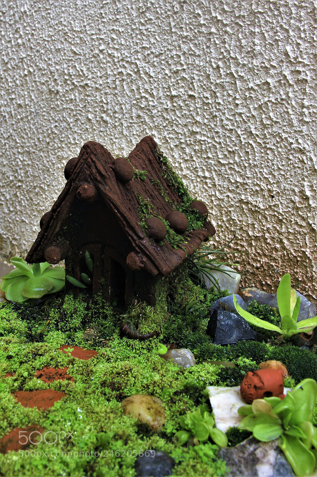 Canon EOS 60D sample photo. Little garden photography
