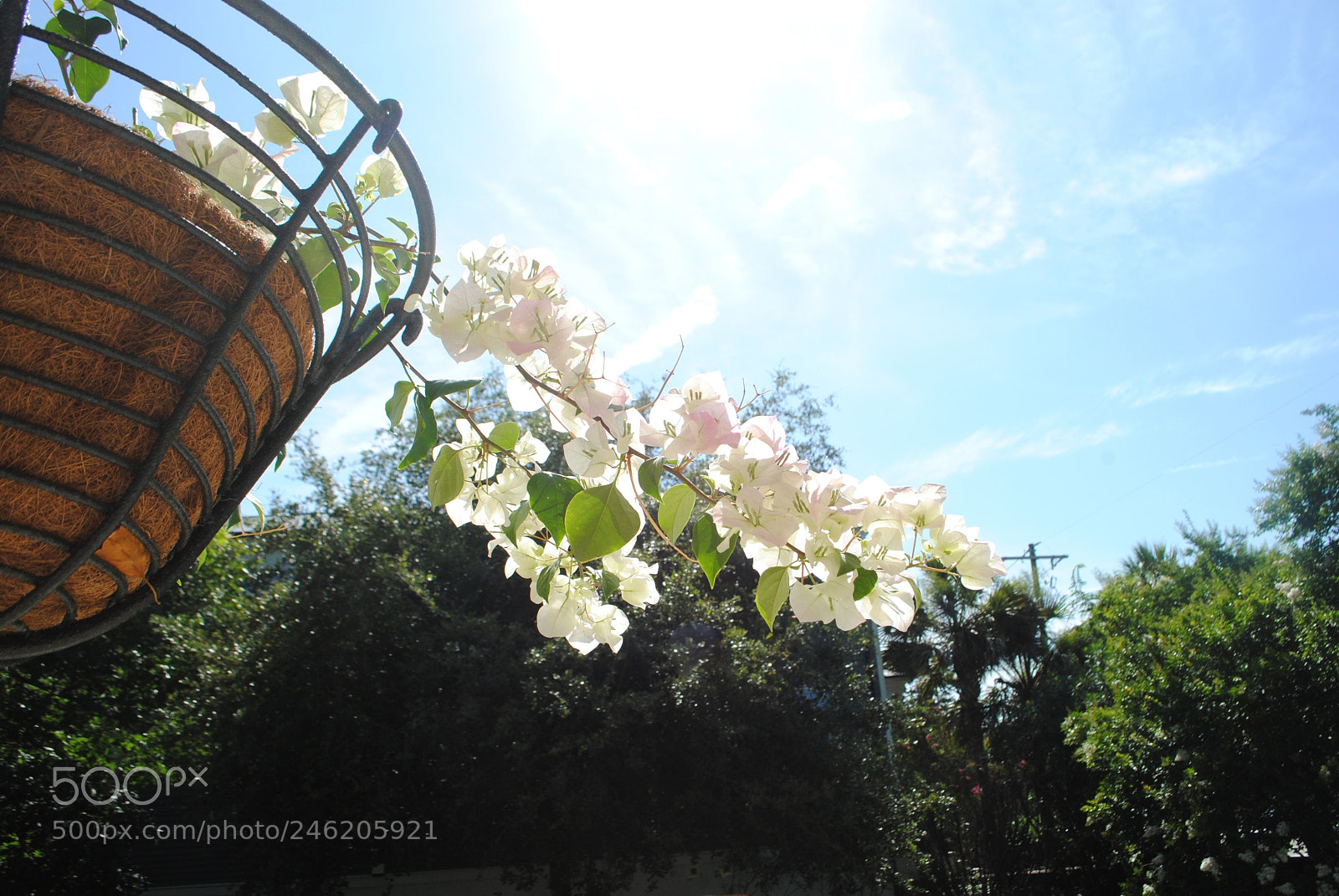 Nikon D3000 sample photo. Sunny day photography