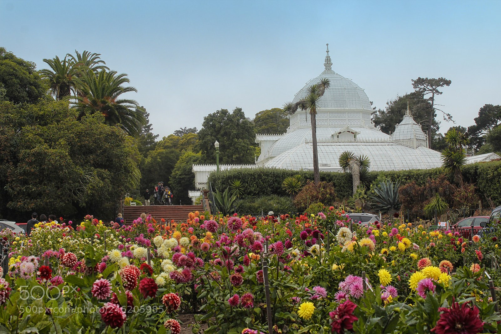 Canon EOS 1200D (EOS Rebel T5 / EOS Kiss X70 / EOS Hi) sample photo. Golden gate park photography