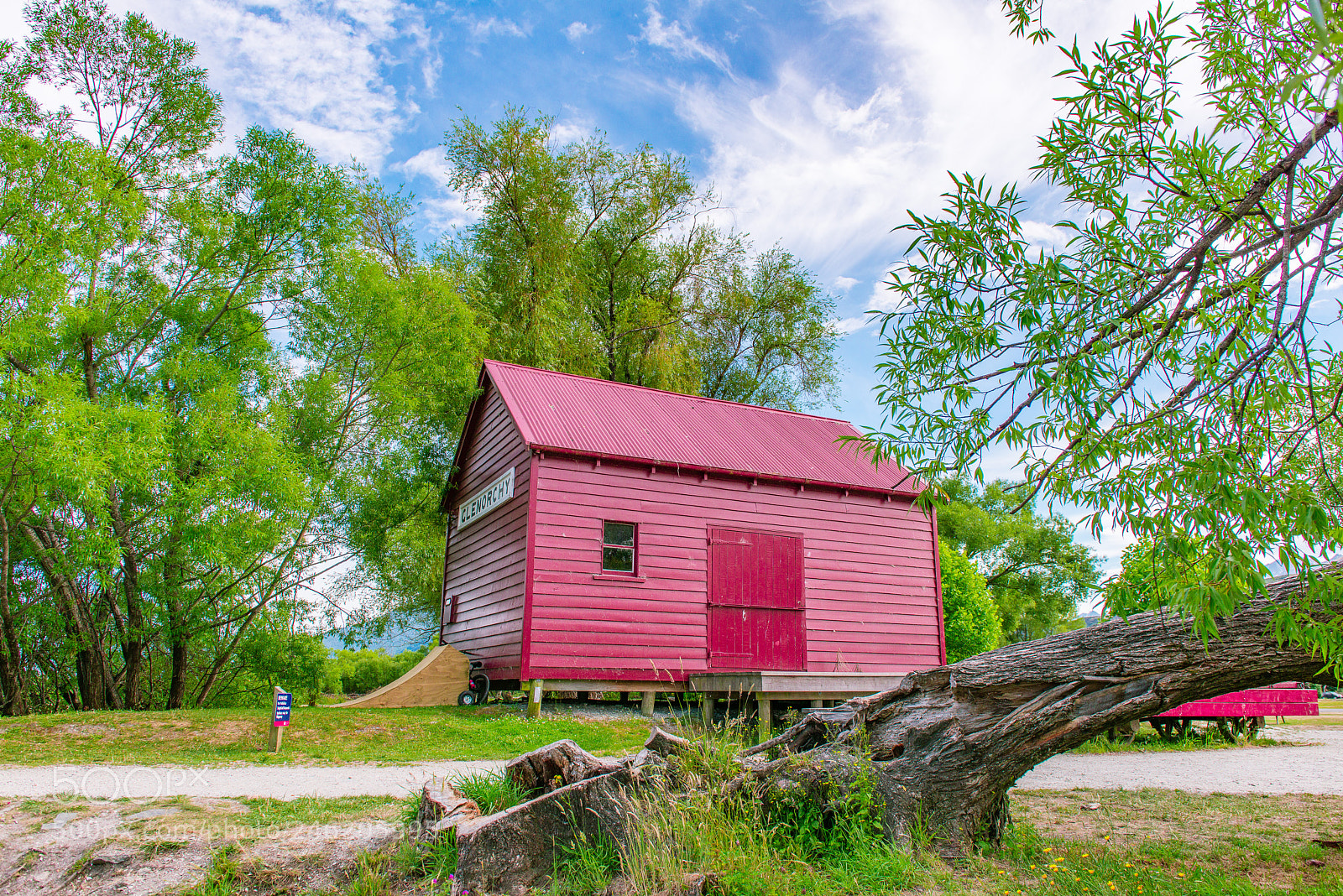 Nikon D800 sample photo. Red photography