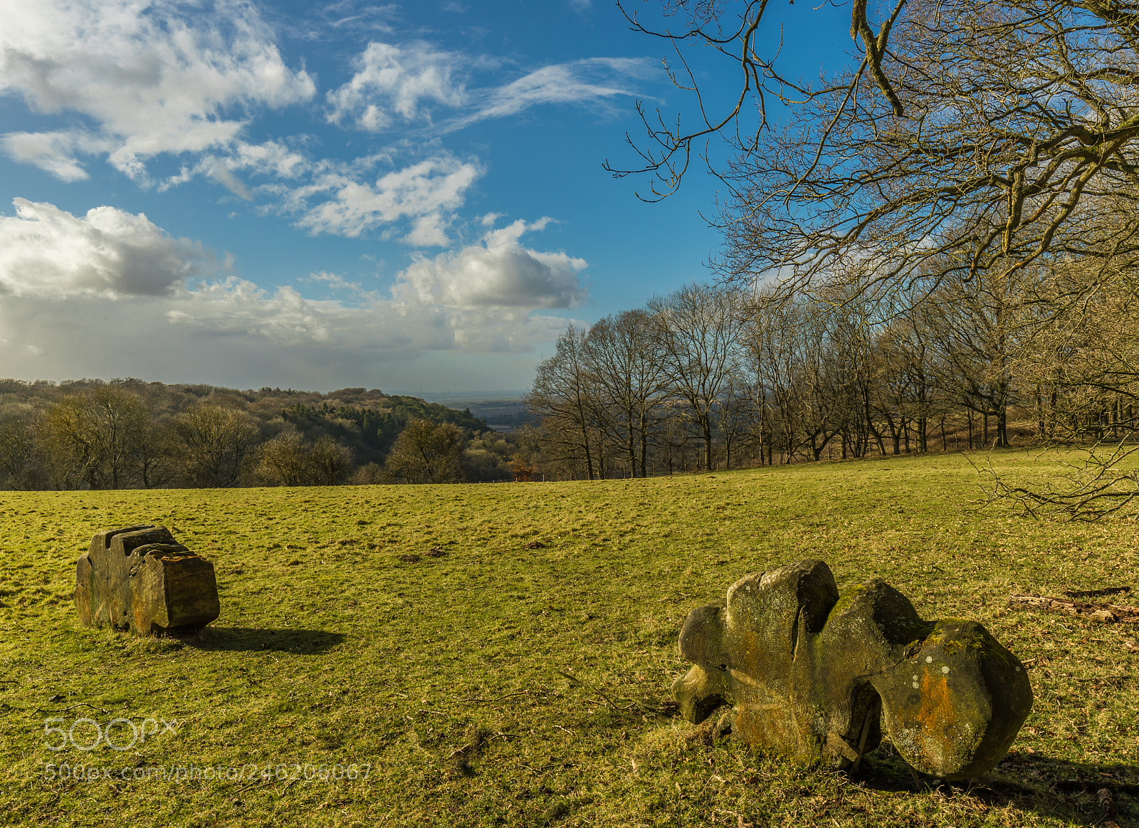 Canon EOS-1D X Mark II sample photo. Oxfordshire views photography